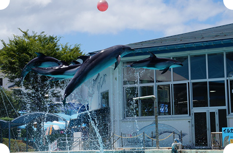 のとじま水族館